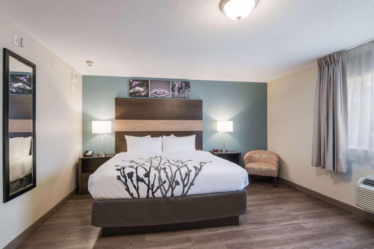 1-Bedroom King Suite Nonsmoking